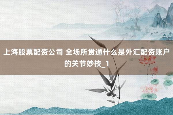 上海股票配资公司 全场所贯通什么是外汇配资账户的关节妙技_1